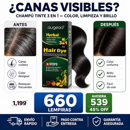 Shampoo Tinte 3 en 1 para Cubrir Cañas