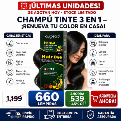 Shampoo Tinte 3 en 1 para Cubrir Cañas
